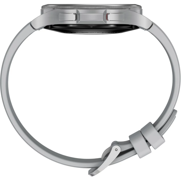 Montre connectée Samsung SM-R890NZSAXEF